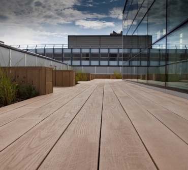 millboard-golden-oak-06